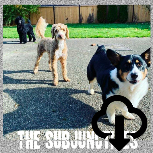 The Subjunctives CD EP DIGITAL DOWNLOAD