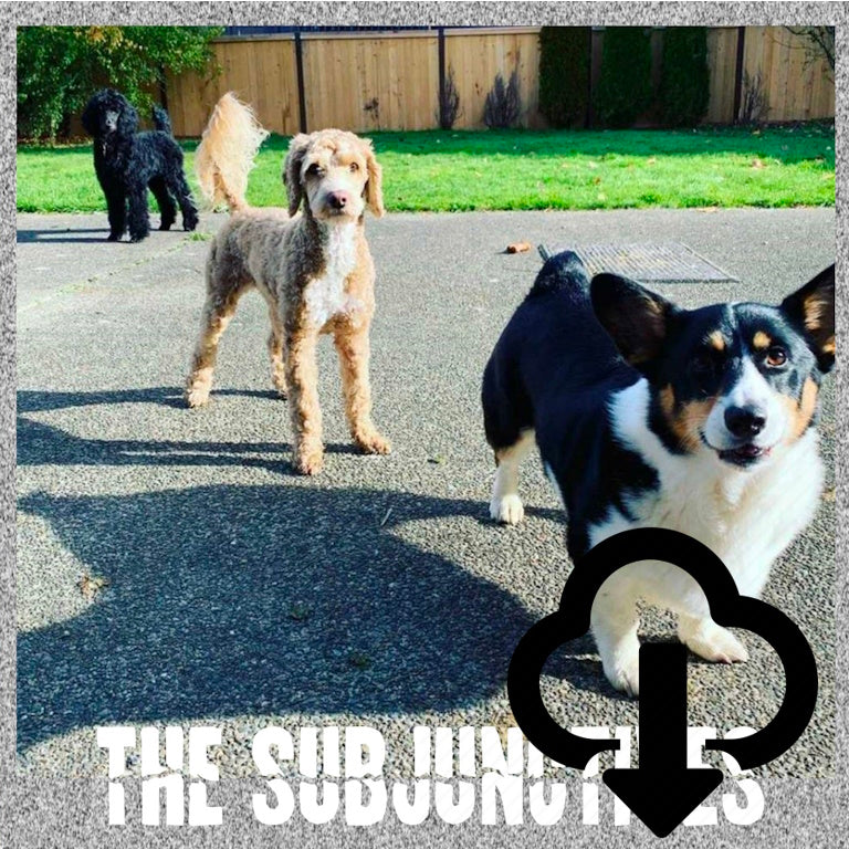 The Subjunctives CD EP